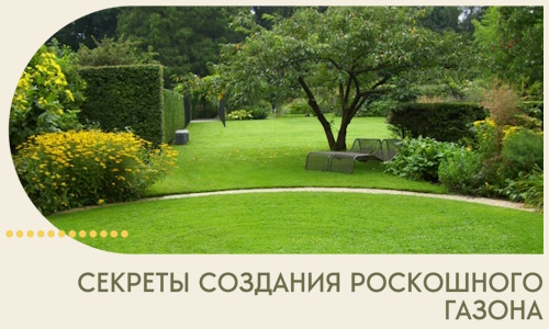 Секреты создания роскошного газона в Магнитогорске