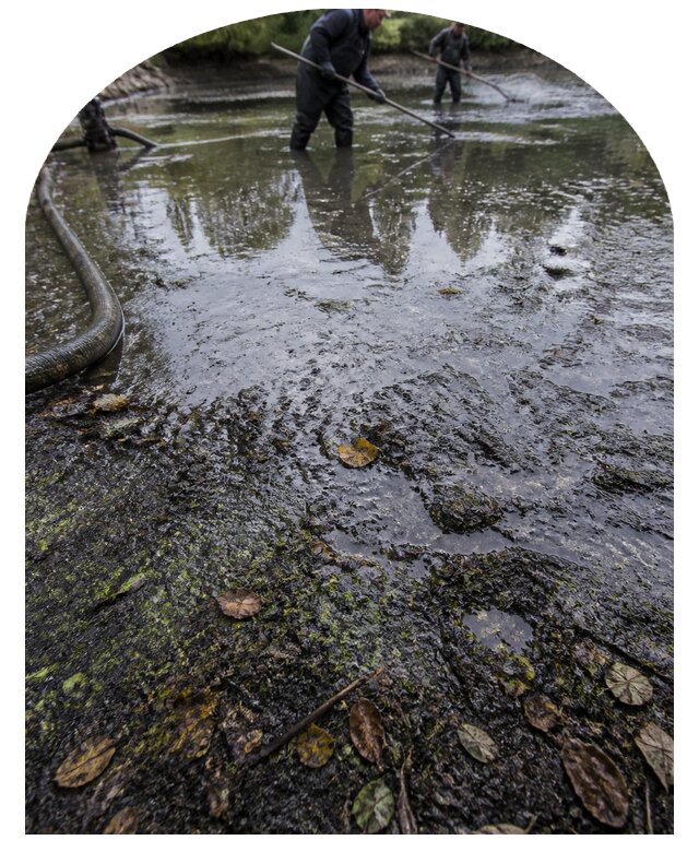 Очистка пруда в Магнитогорске от ила мусора и водорослей с вывозом